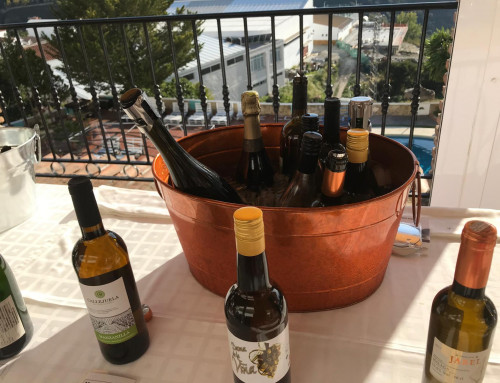 🍇 VII Feria de Vinos del Balcón de Cómpeta