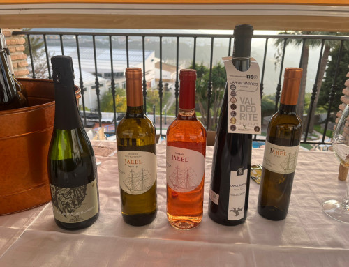 Maridajes y Feria de Vinos 2026 – Hotel y Bungalows Balcón de Cómpeta (Málaga)